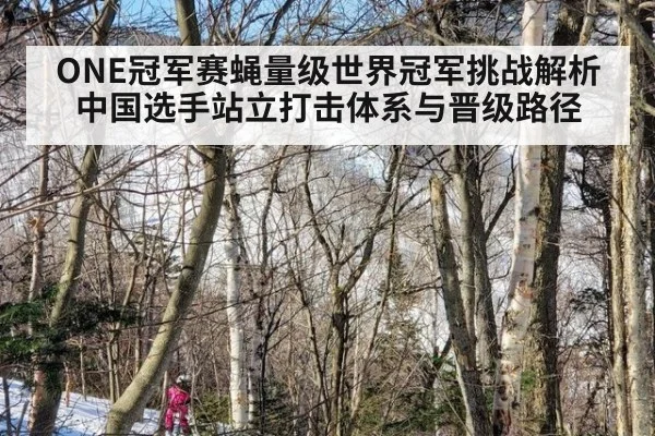 ONE冠军赛蝇量级世界冠军挑战解析 中国选手站立打击体系与晋级路径 | jiuyou game