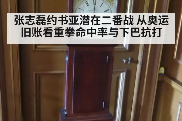 张志磊约书亚潜在二番战 从奥运旧账看重拳命中率与下巴抗打 | jiuyou game